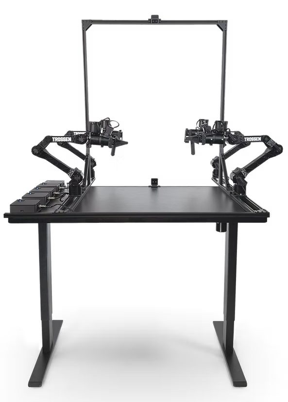 Stationary AI