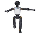 Booster Robotics K1 New - Introductory Embodied Development Platform