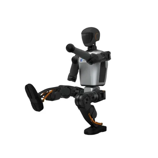 Booster T1 Humanoid Robot