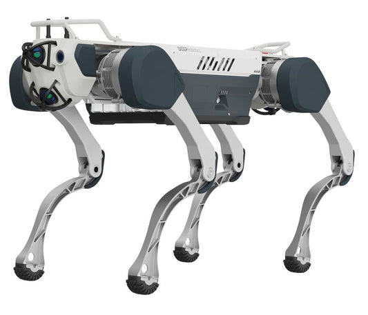 Deep Robotics X30 / X30 Pro Robot Dog