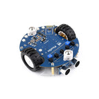 Pico2Go Mobile Robot, Based On RP2350-Plus, Self Driving, Remote Control, Includes RP2350-Plus Control Board