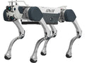 Deep Robotics X30 / X30 Pro Robot Dog