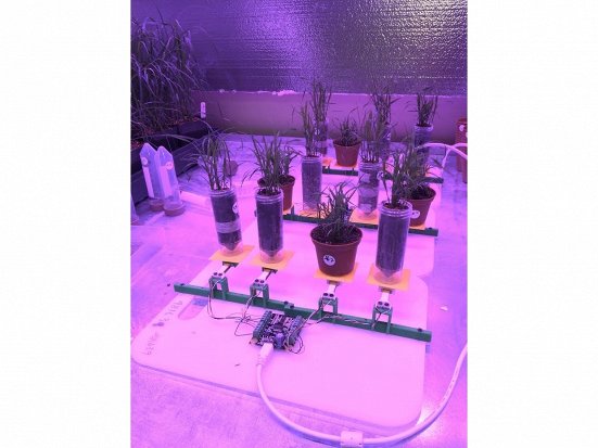 PhidgetBridge 4-Input