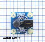 Motion Sensor
