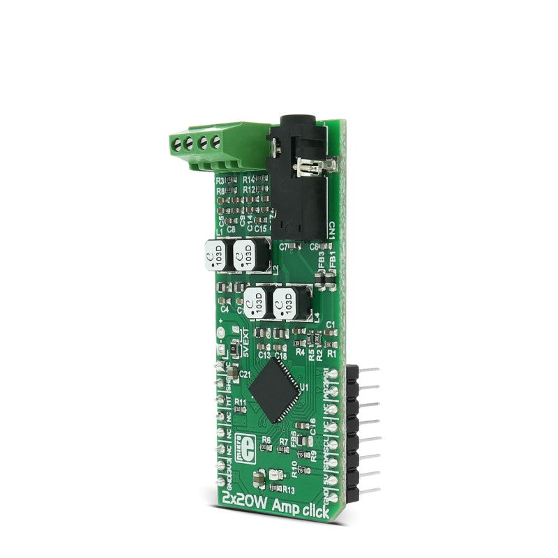 2x20W Amp click