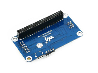 SX1262 LoRa HAT for Raspberry Pi, 868MHz Frequency Band, for Europe, Asia, Africa