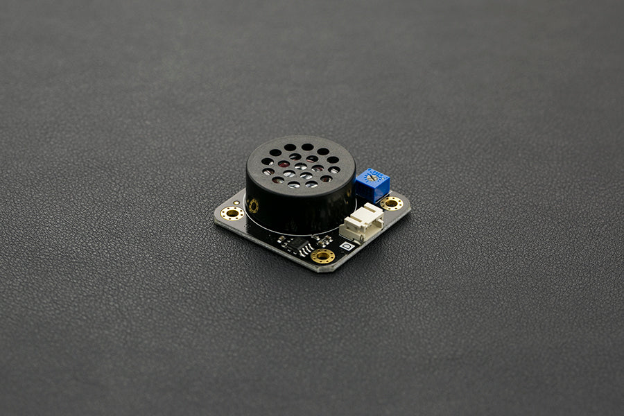 Digital Speaker Module