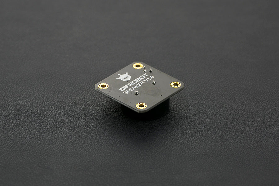 Digital Speaker Module