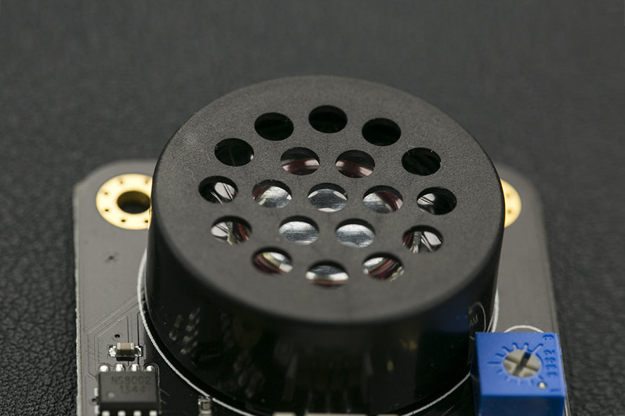 Digital Speaker Module