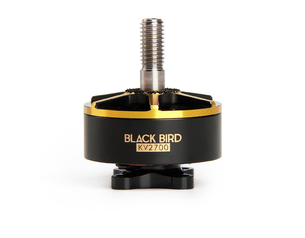 BLACK BIRD 2207 KV2725