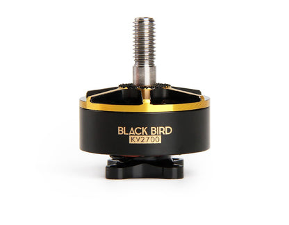 BLACK BIRD 2207 KV2725