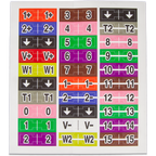30-Pin Flywire Labels for the Analog Discovery 2