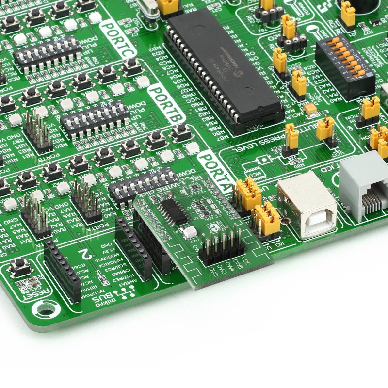 I2C 1-Wire click