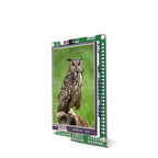 mikromedia for PIC18FK