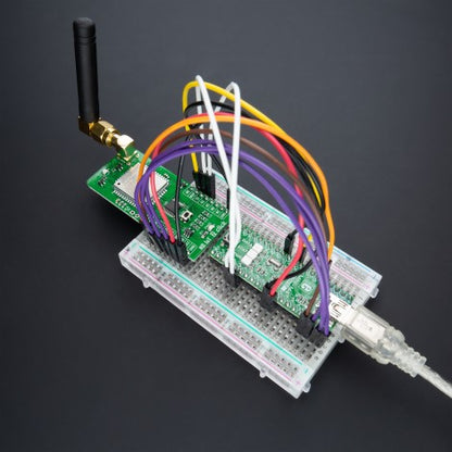 NB IoT 2 Click